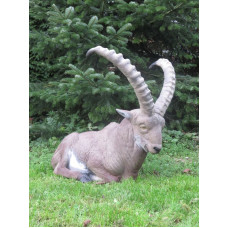 Natur Foam IBEX BEDDED